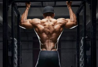 Comment muscler son dos en musculation ?