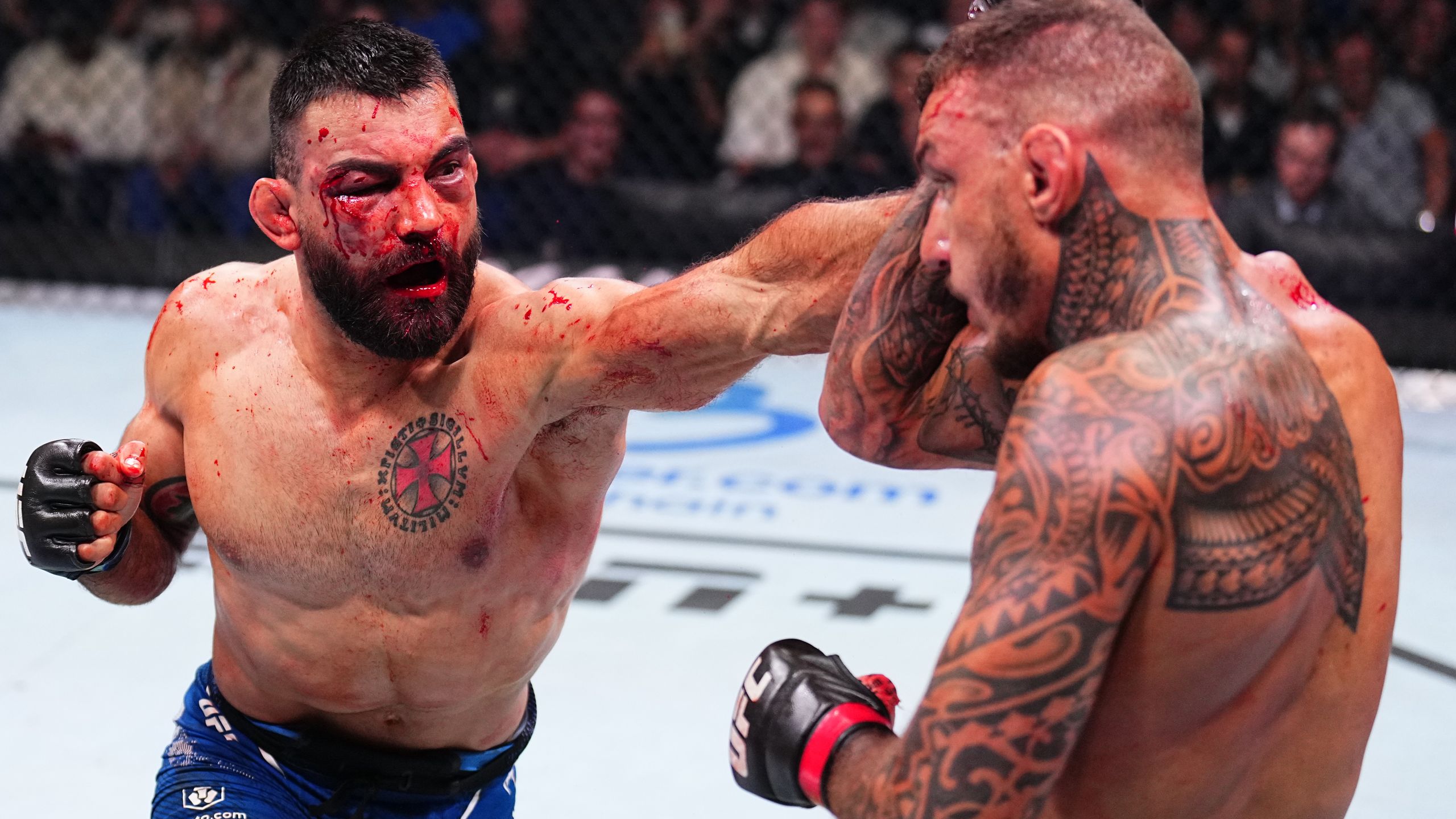 combat ucf mma musculation coaching en ligne distance david costa programme force masse